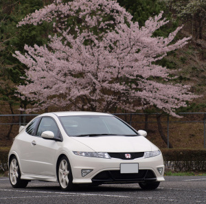 桜とシビックタイプRユーロ 桜とシビックタイプRユーロ